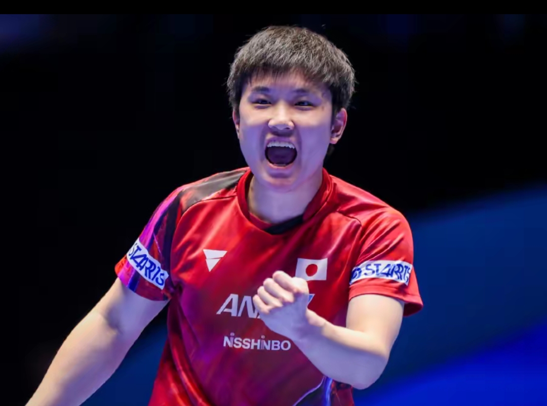 如果你需要 如果你需要